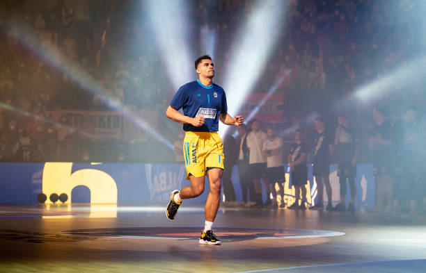 的羽鸟同样 的羽鸟同样